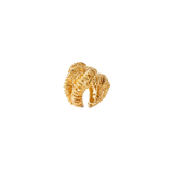 ERA RING