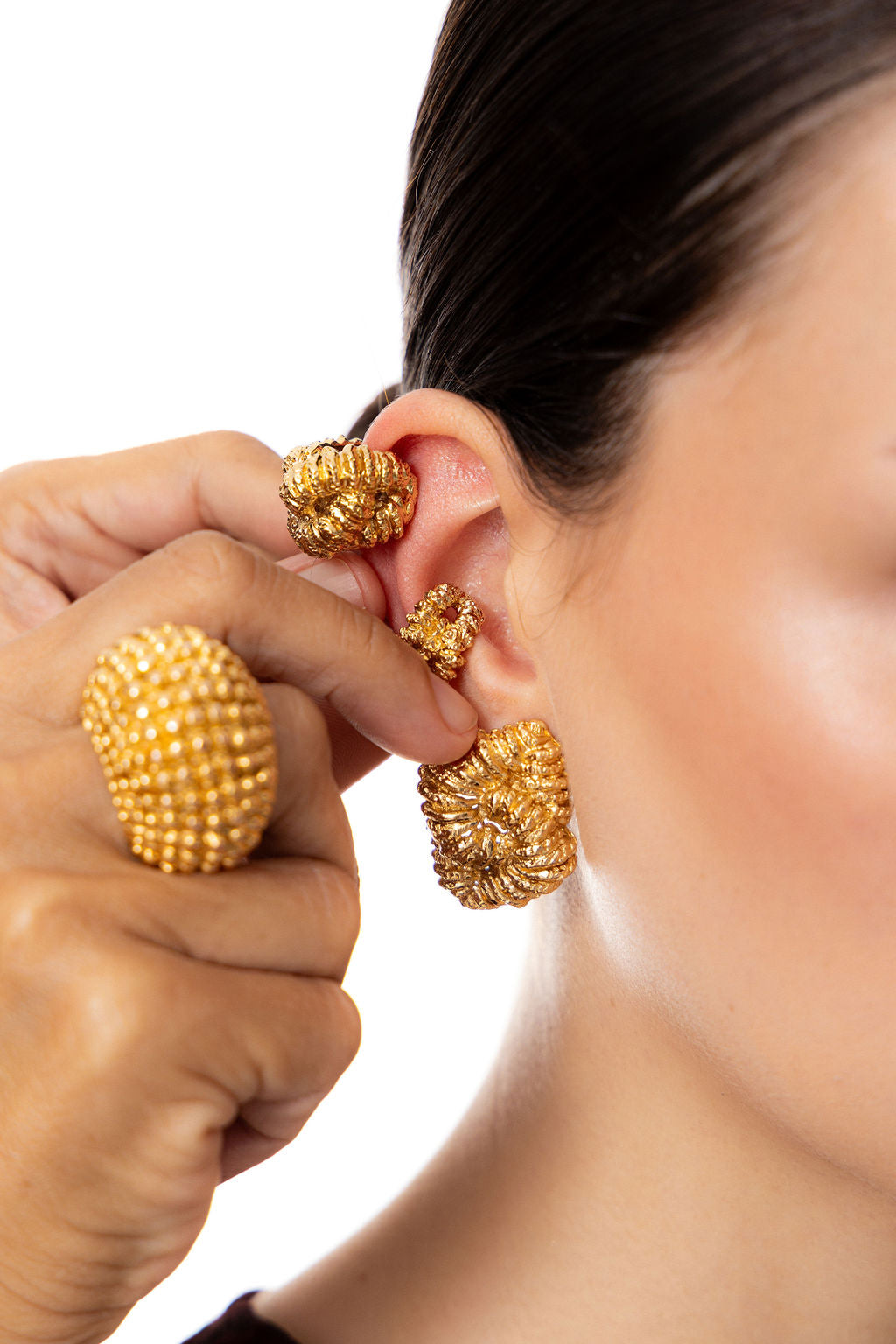 Explore The Collection