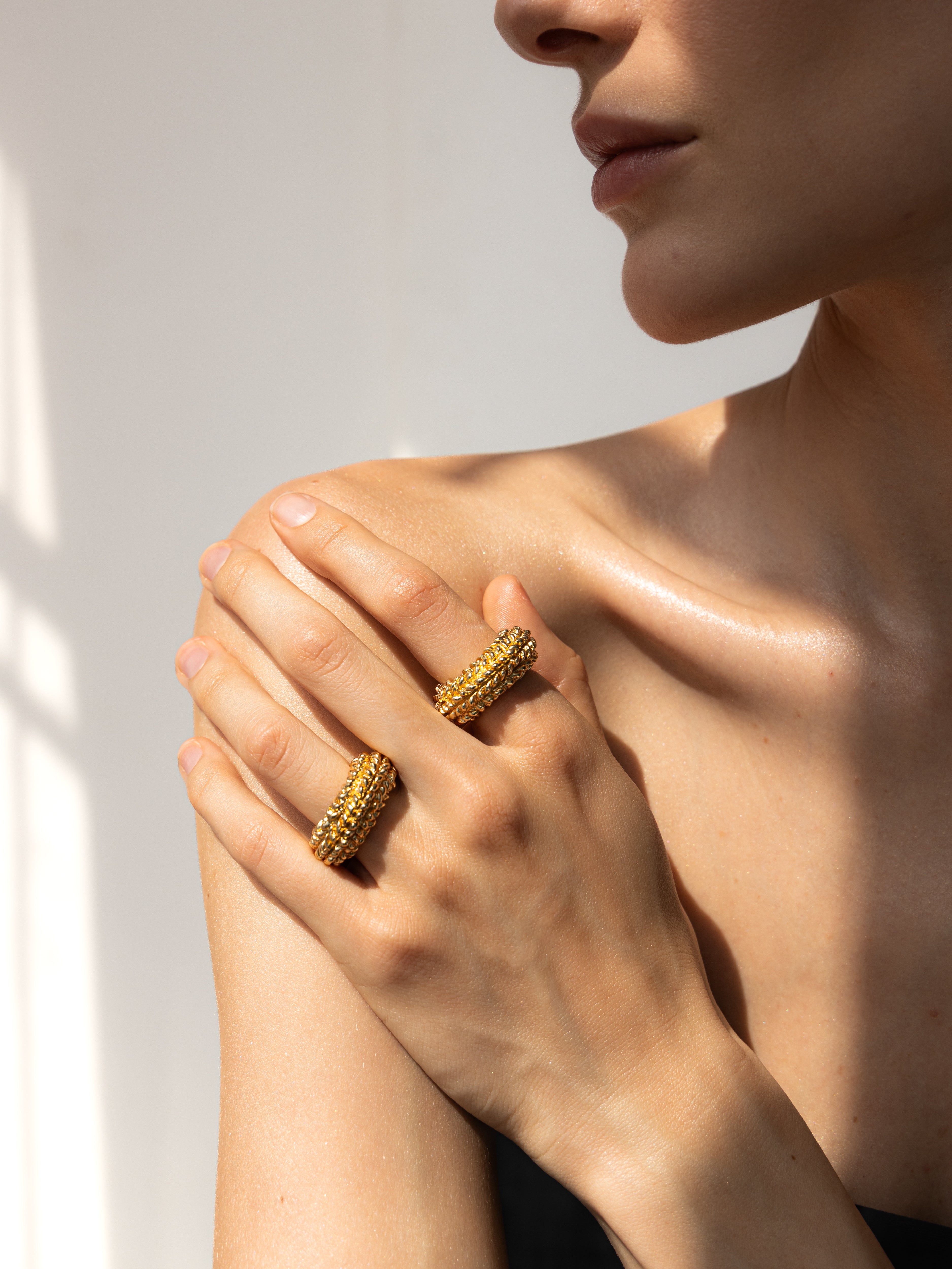 Explore The Collection